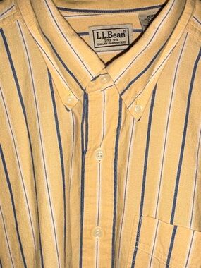 vintage L.L. Bean striped cotton shirt sz L Reg EUC